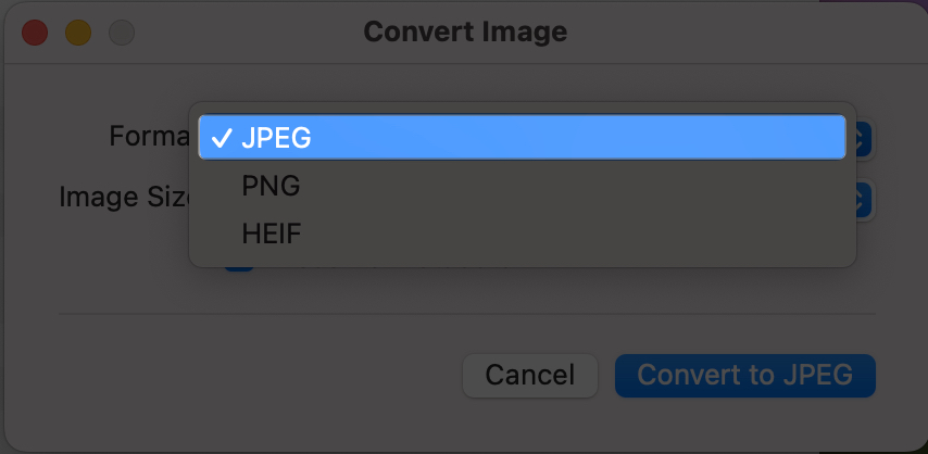 Choose JPEG to convert photo into JPEG