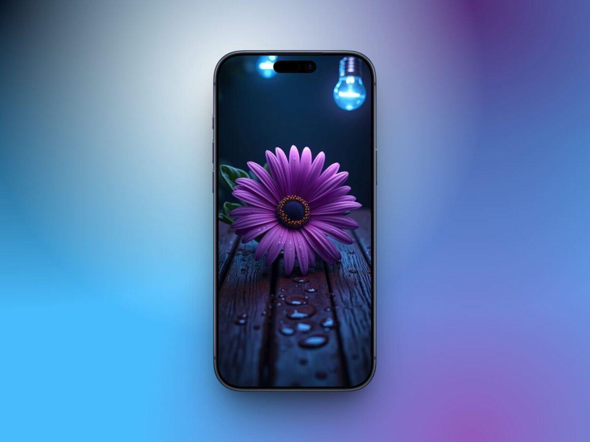 Daisy Wallpaper for iPhone