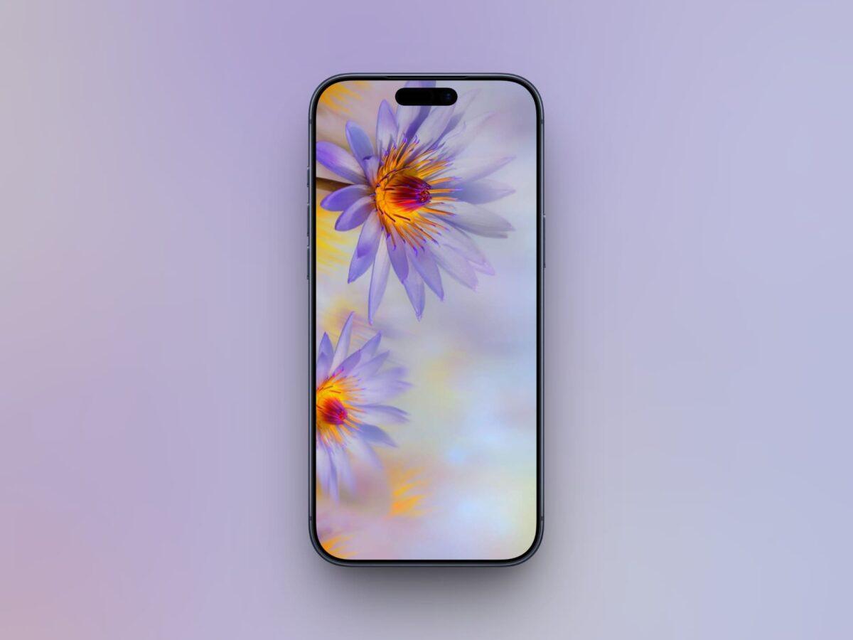 Pastel Lavender Flower wallpaper for iPhone