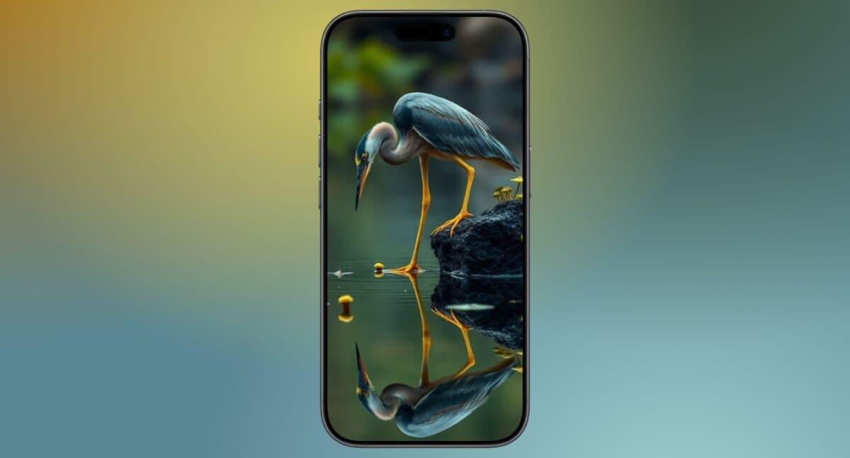 Heron reflection for a calm Mood