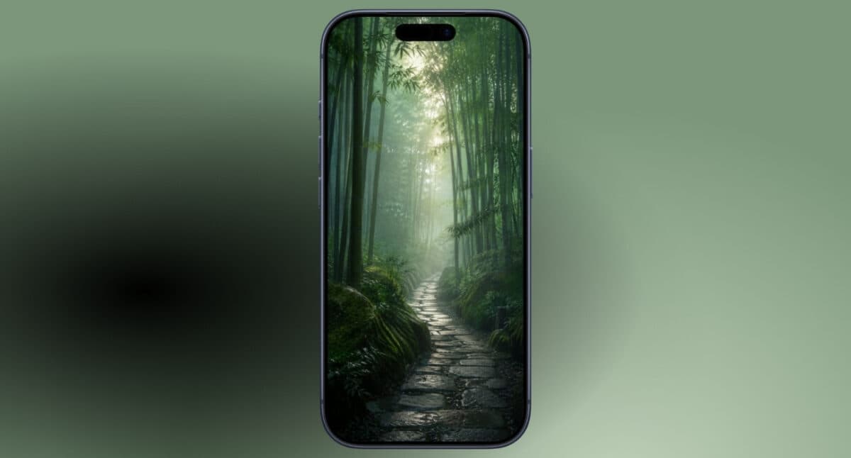 Bamboo dawn