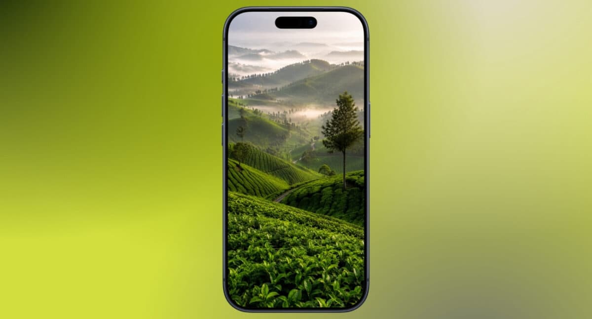 Tea hill mist