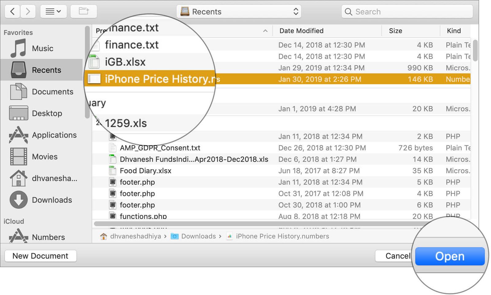Open Document you wish to have the previous version in Mac Numbers App
