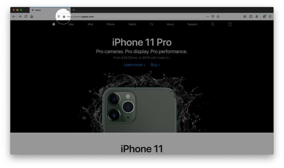 Click on Padlock icon in Firefox on Mac