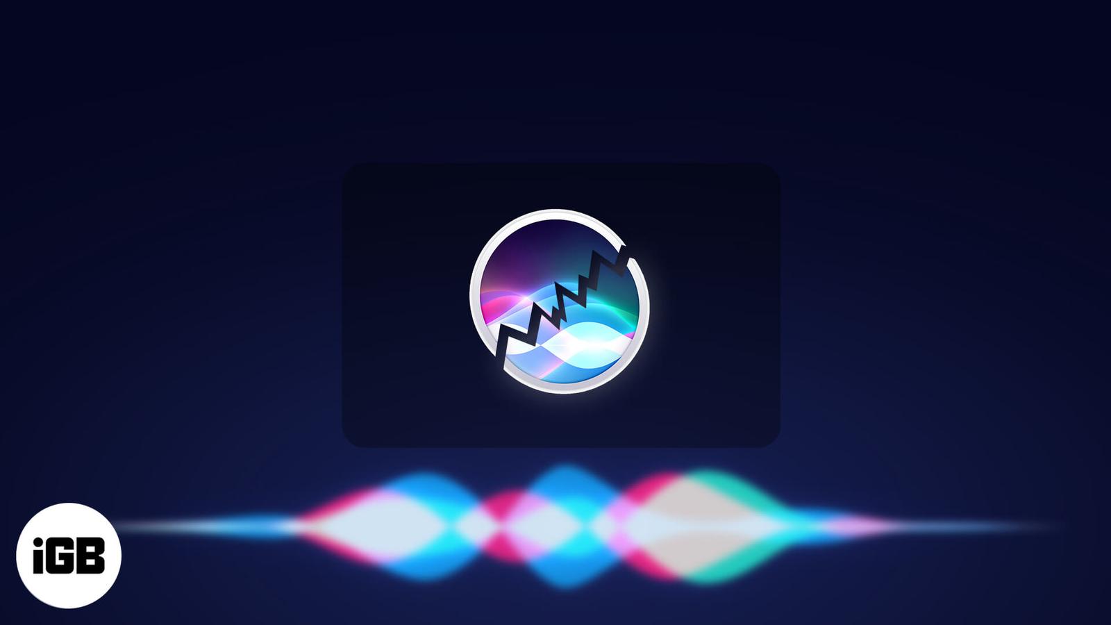 Siri Suggestions Not Working on iPhone and iPad? How to Fix It