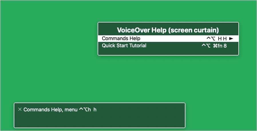 Enable Screen Curtain using VoiceOver command help guide