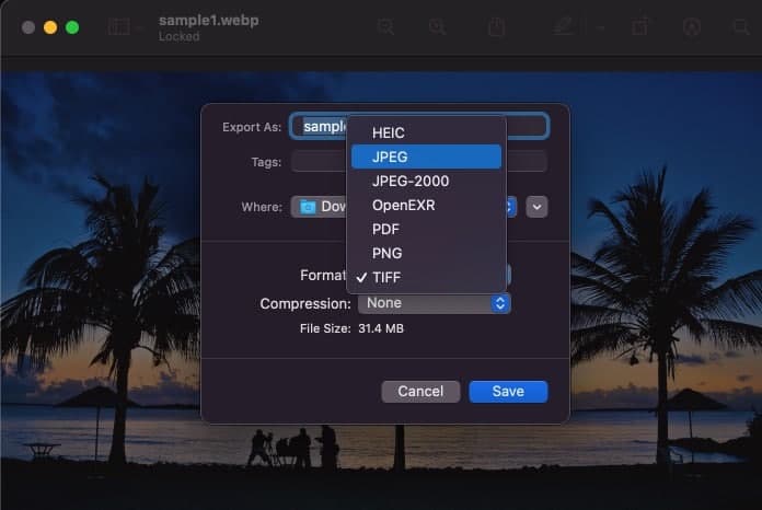 Plenty of image format options in Preview on Mac