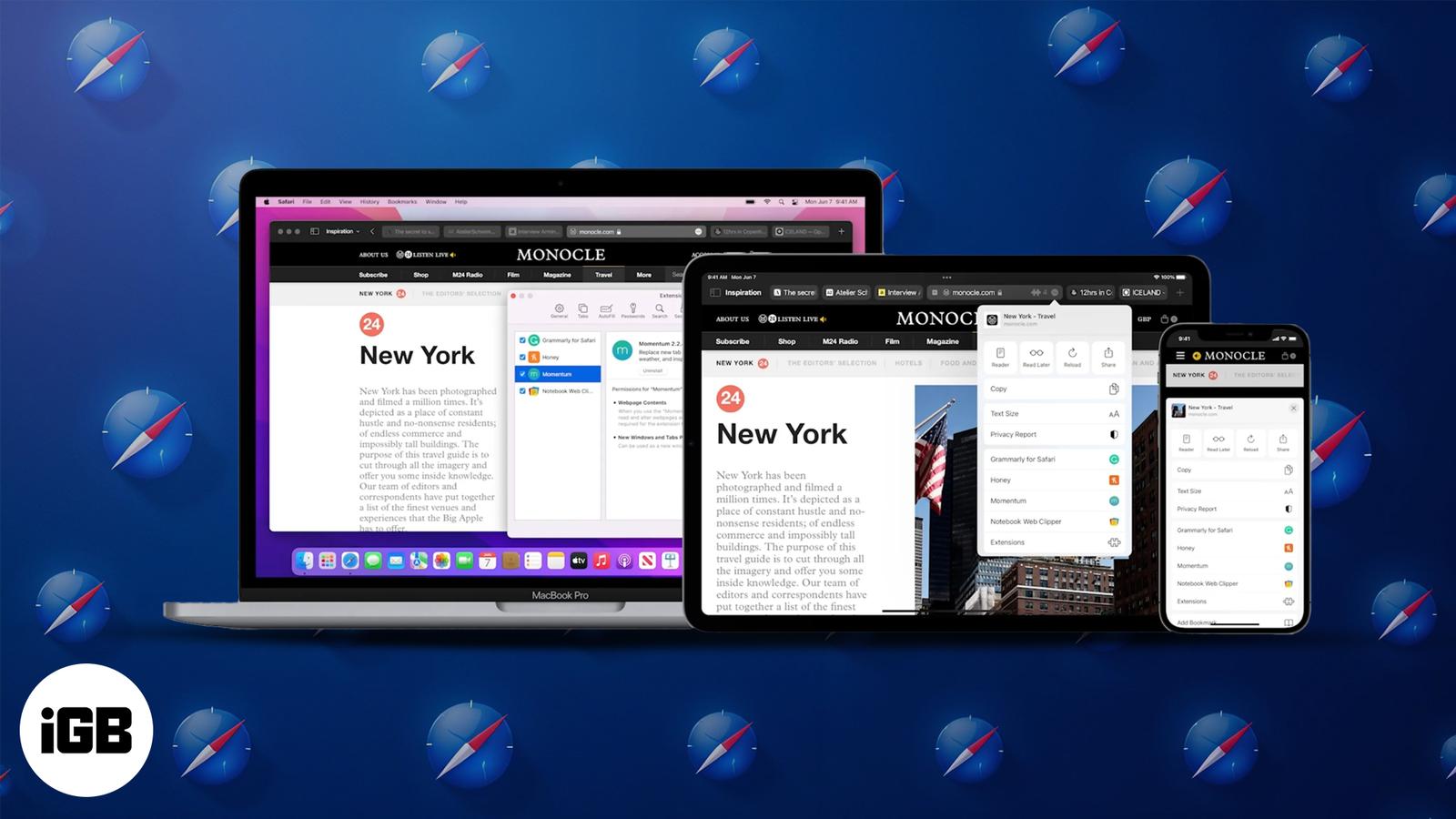 How to Use Safari Extensions on iPhone, iPad, and Mac