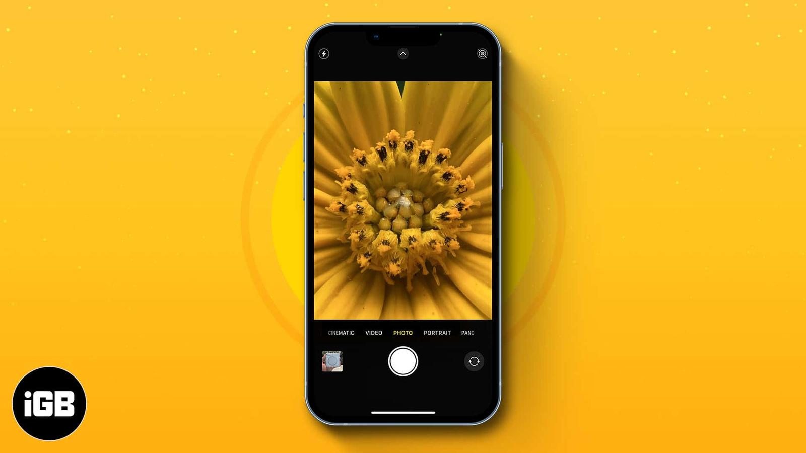 How to Take Macro Photos and Videos on iPhone