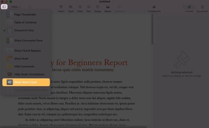 See word count in Pages app on Mac