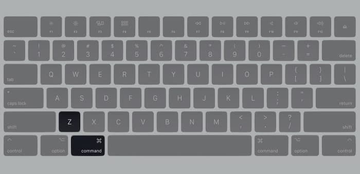 Press Command + Z on your Mac keyboard