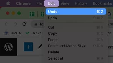 Undo on Mac Using menubar edit command