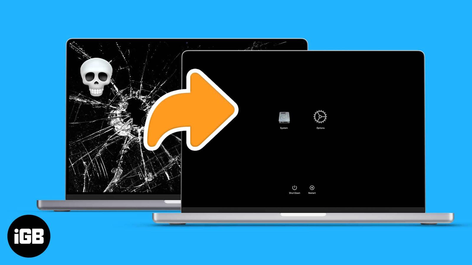 How to transfer data from dead Mac to new Mac