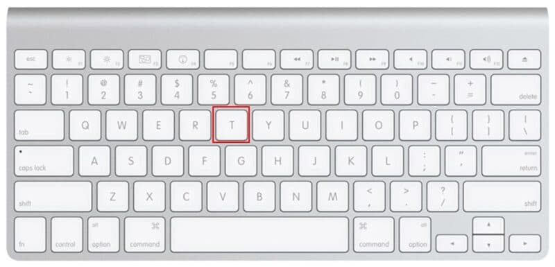 Press and Hold T on a MacBook while restarting