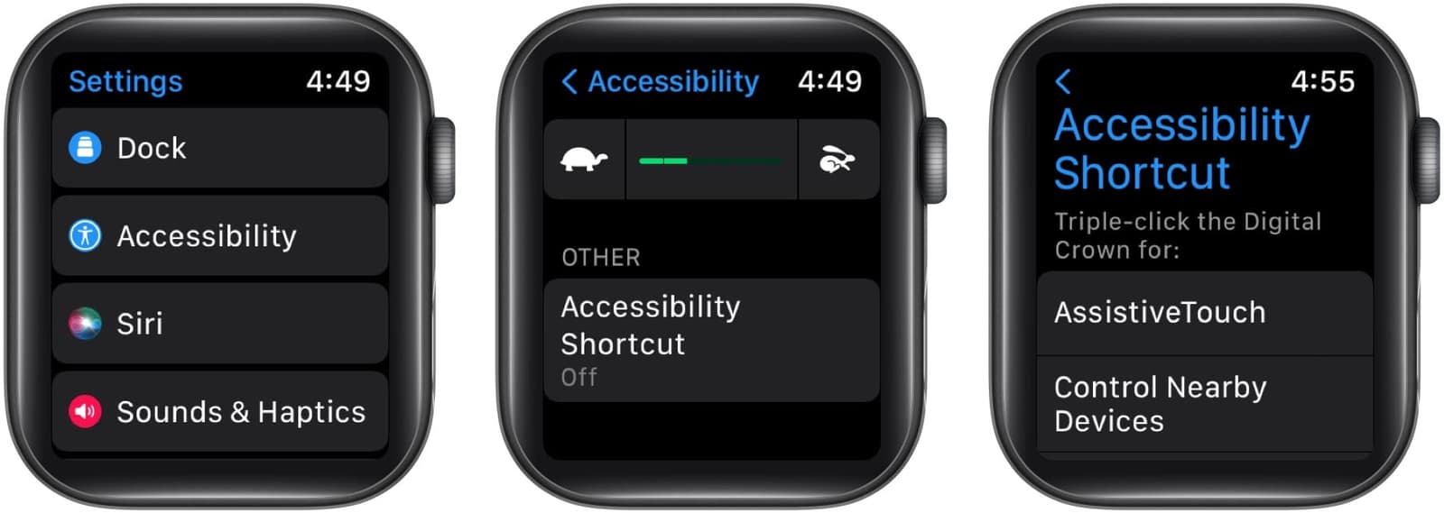 How to use Accessibility Shortcut on Apple Watch