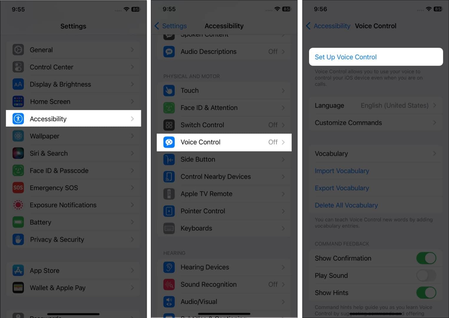 Tap Set Up Voice Control on iPhone