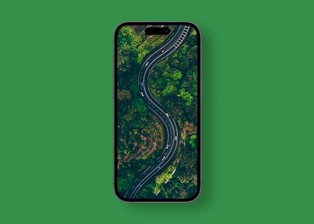 Nature walk aerial wallpaper 