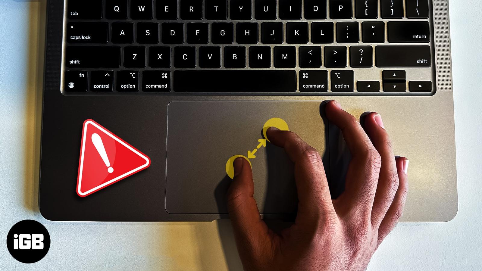 Pinch to Zoom not working on Mac? 9 Ways to fix it!