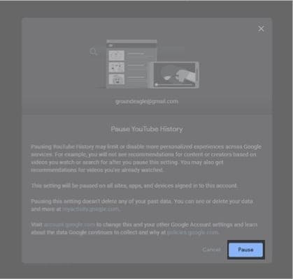 Click Pause on the next screen on Mac