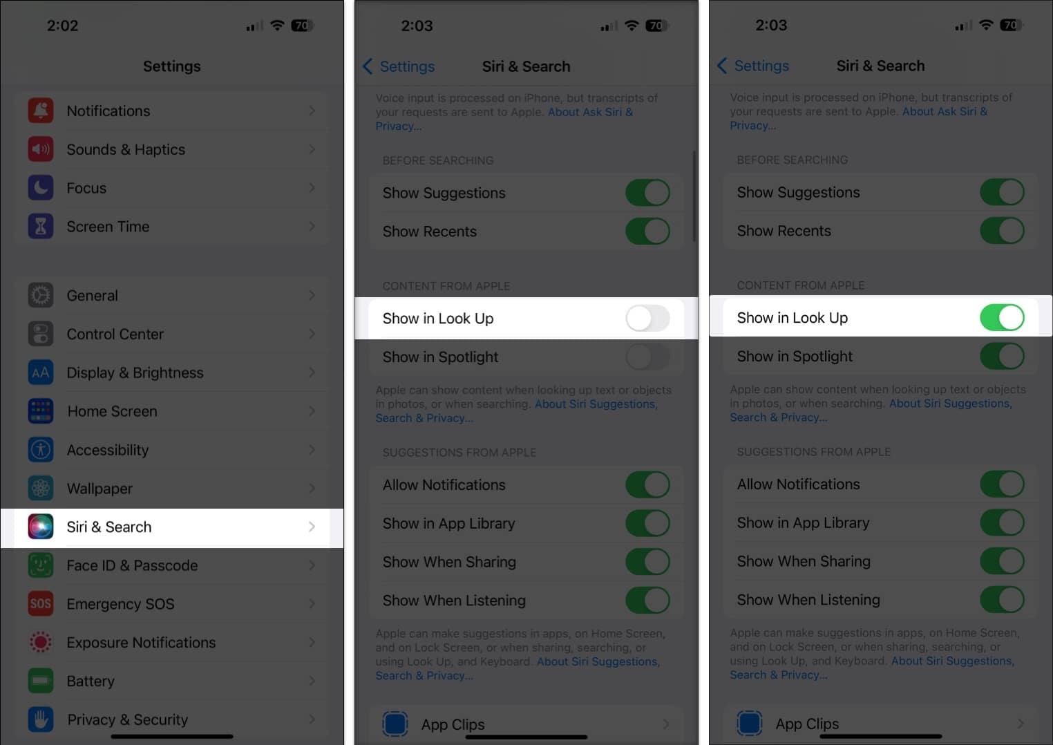Enable Siri Look up on iPhone