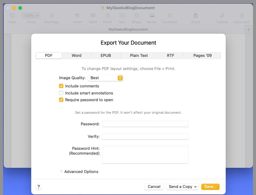 Save with password-protection