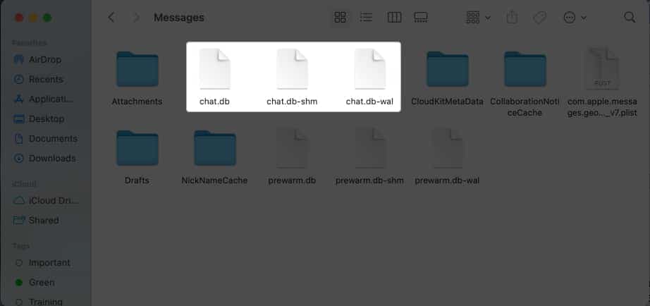 Delete files in the following Messages folders- chat.db-wal, chat.db, and chat.db-shm