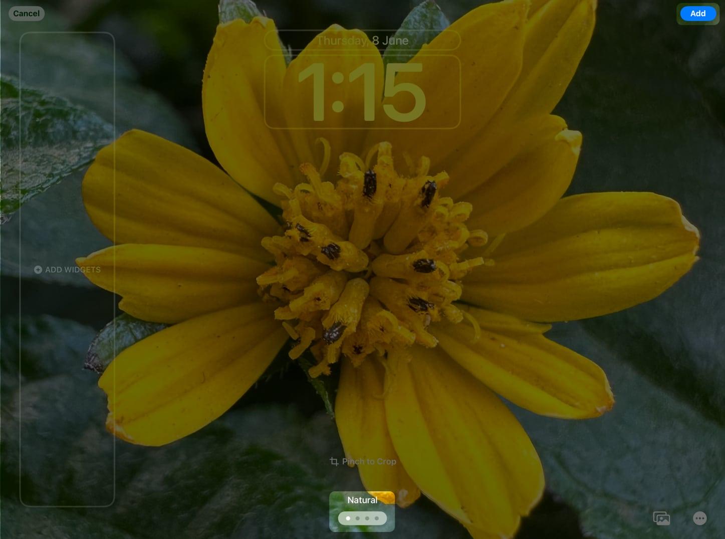 Select Filter and add to wallpaper