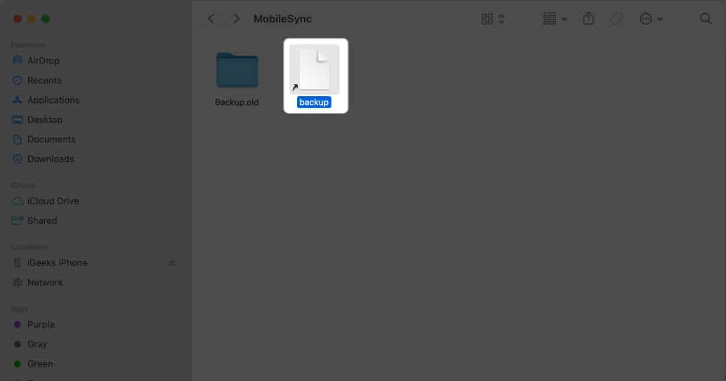 Look for a file with an arrow icon
