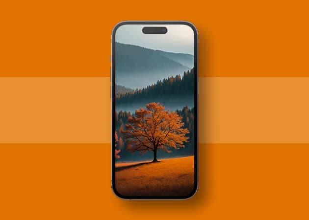 Urban oasis of Autumn wallpaper