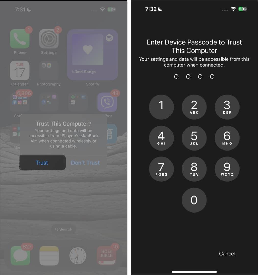 Tap Trust and enter password