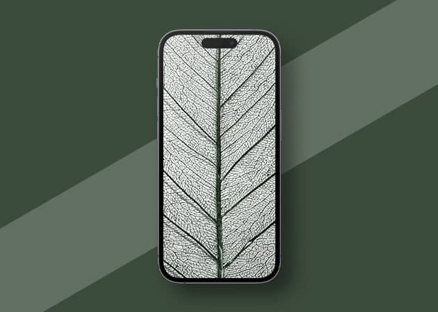 Zoomed-leaf-HD-minimalist-iPhone-wallpaper