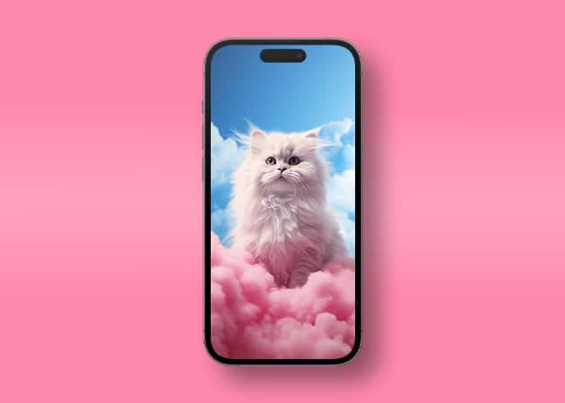 Fluffy cat HD background for iPhone