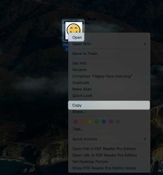 Select a picture or icon and copy