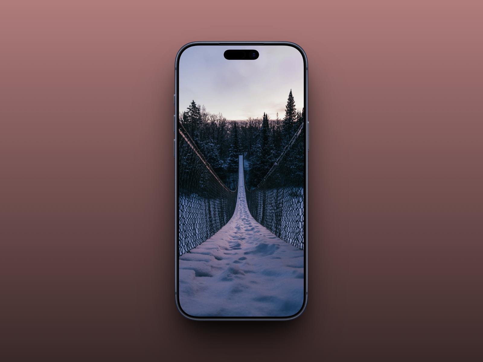Snow-Covered Suspension Bridge