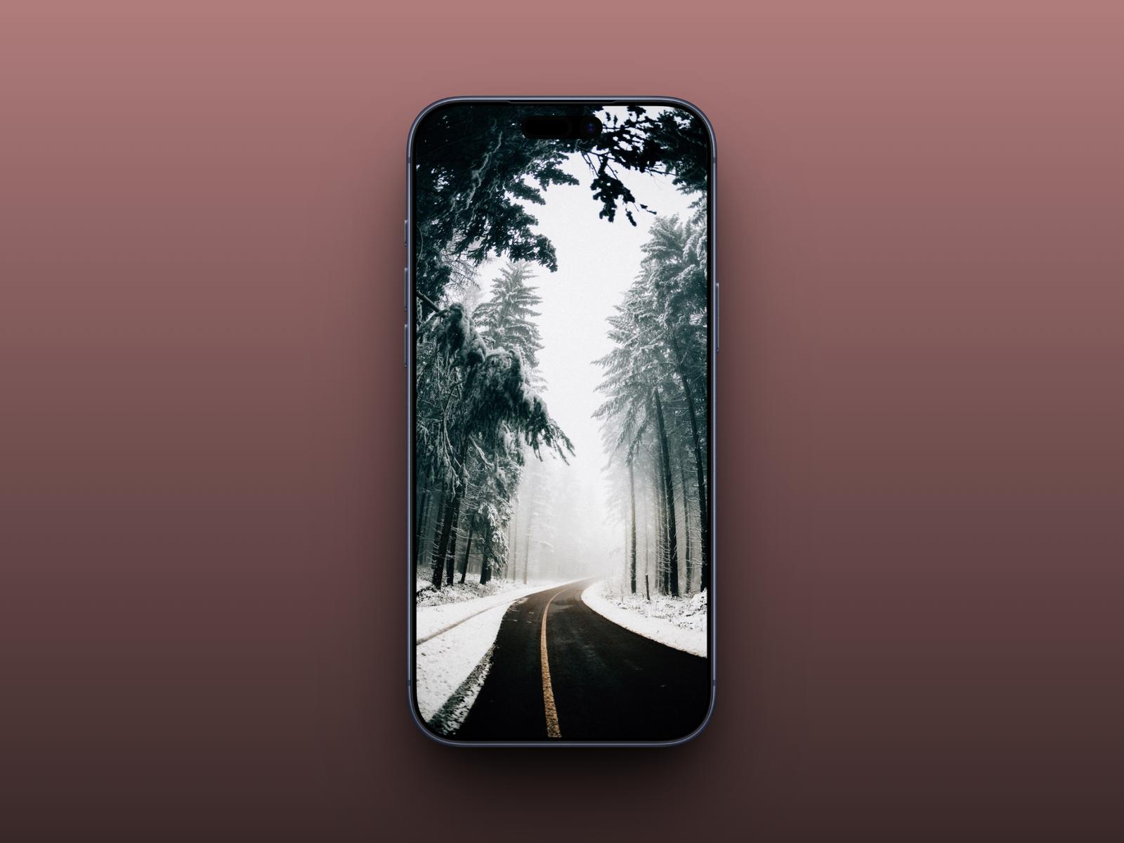 Snowy Forest Road