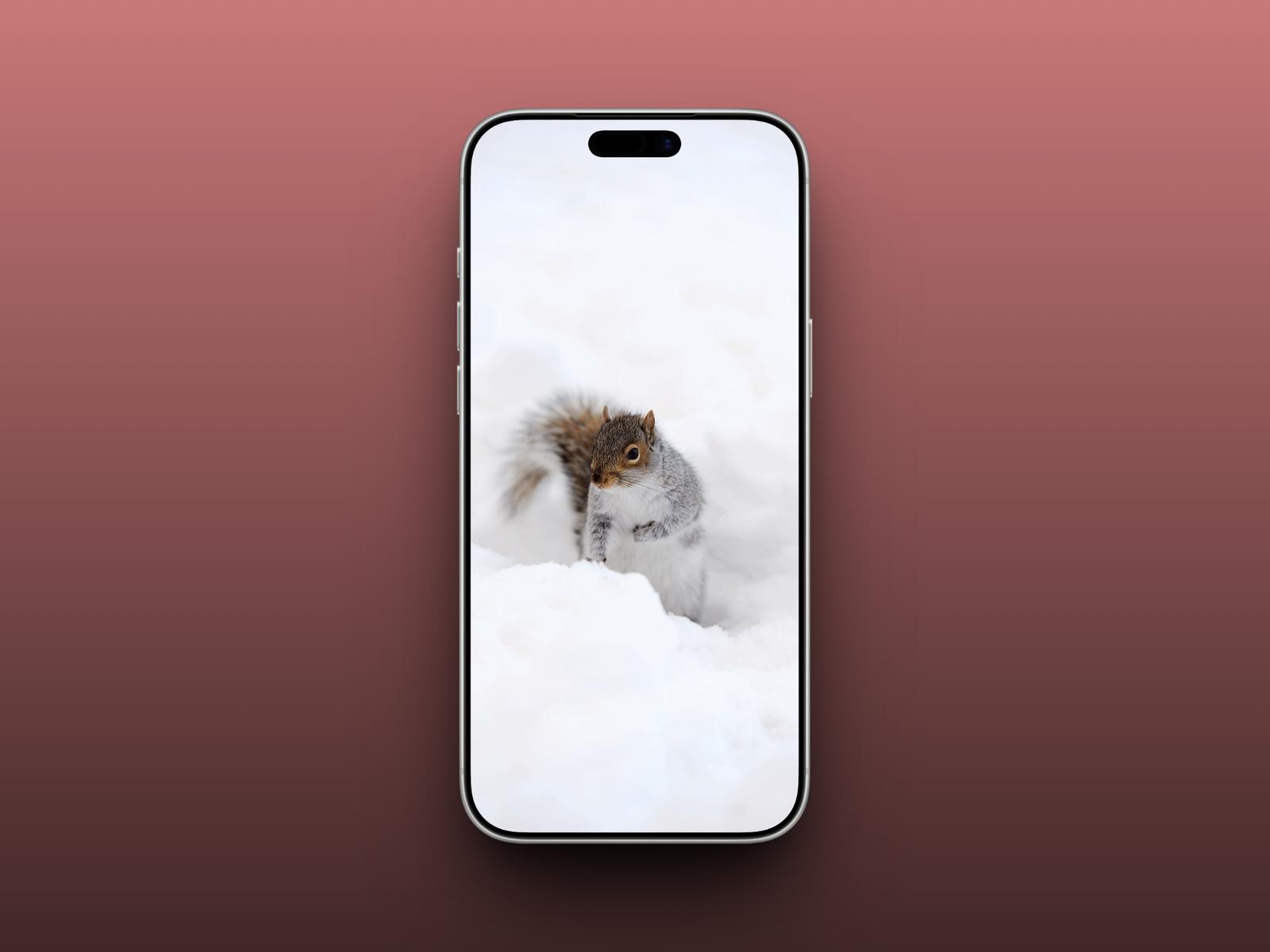 Winter Squirrel Close-Up