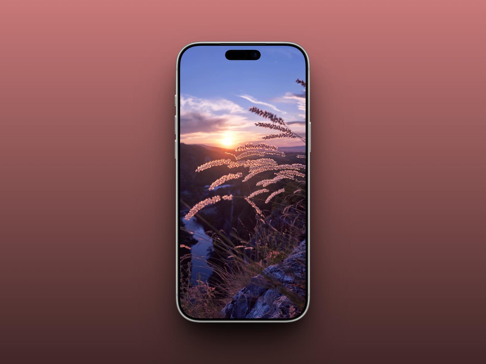 Winter Sunrise Grasslands
