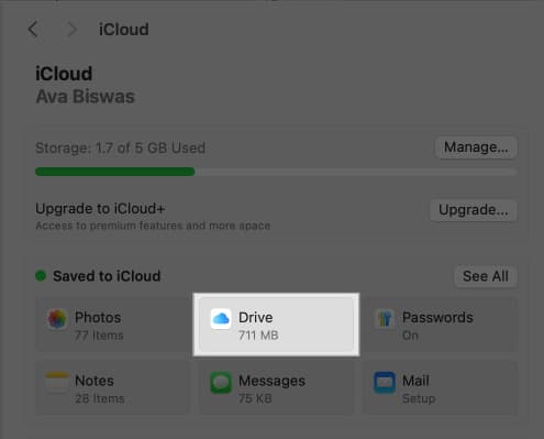 Click iCloud Drive in iCloud on Mac.