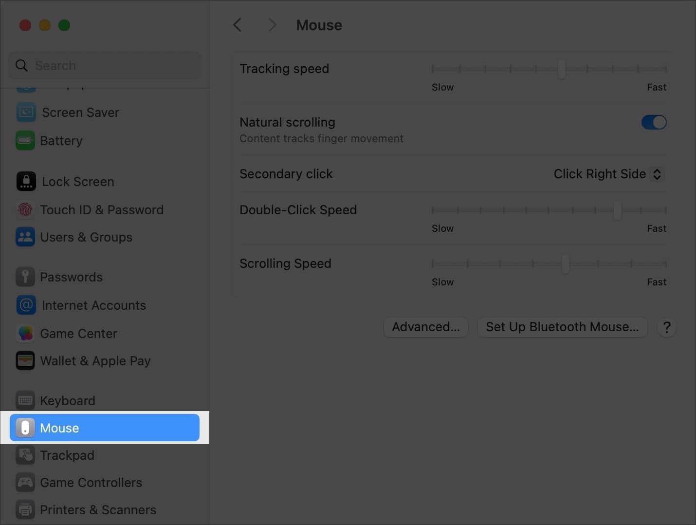 Select Mouse in System Settings