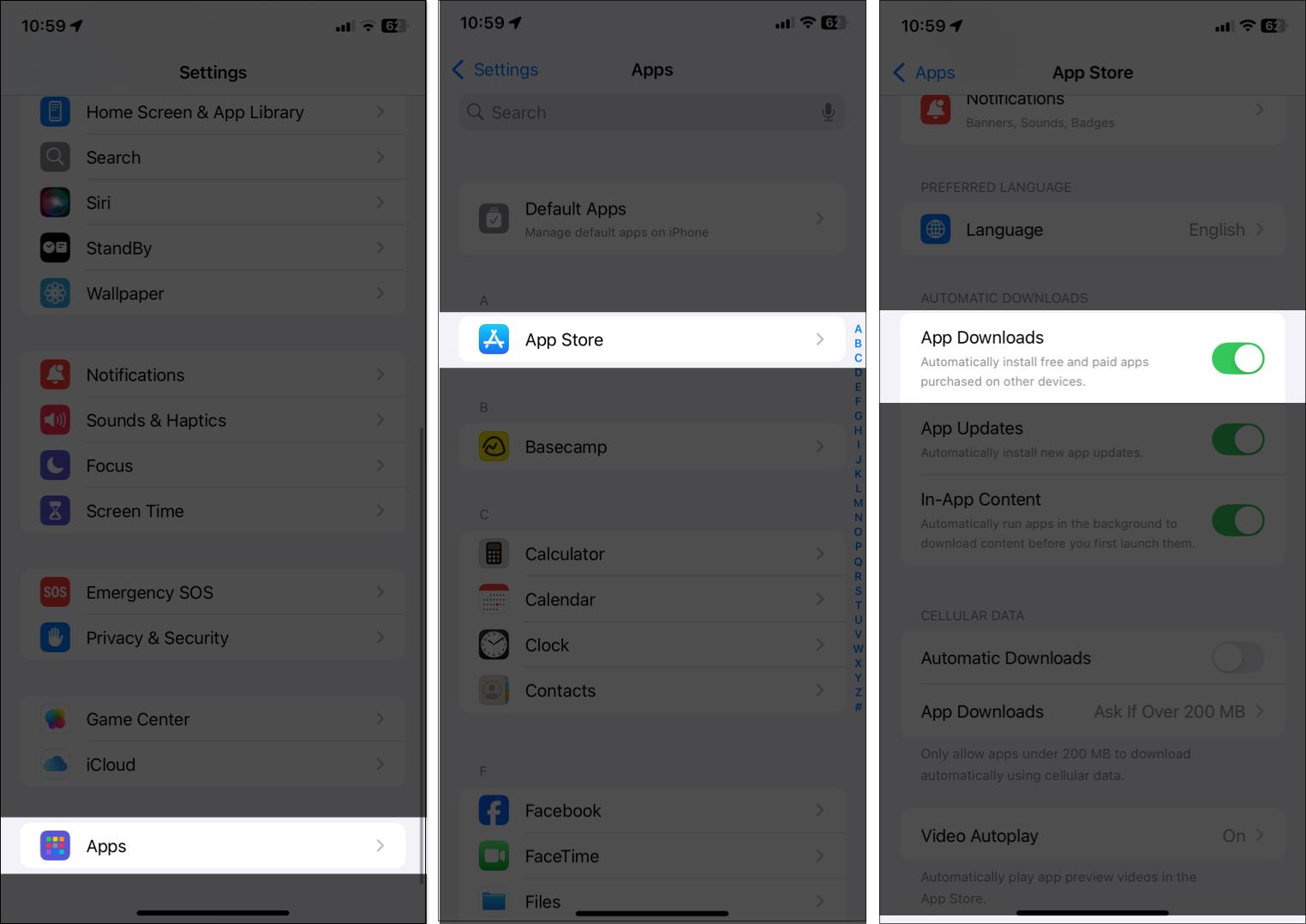 Turn on App Downloads in App Store iOS Settings.