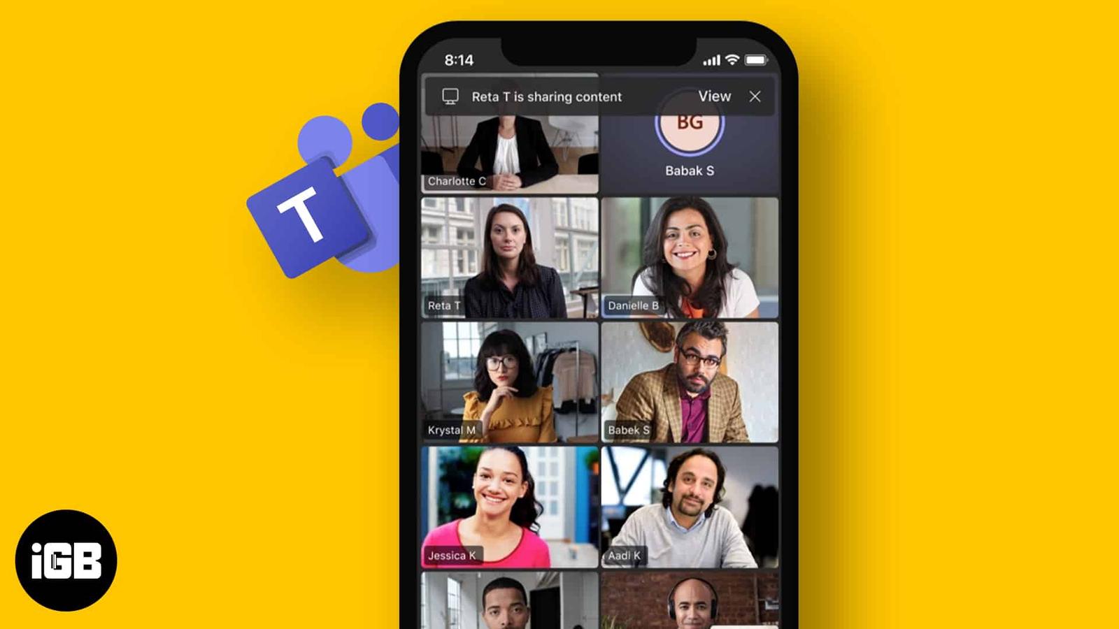 Video conferencing apps for iphone