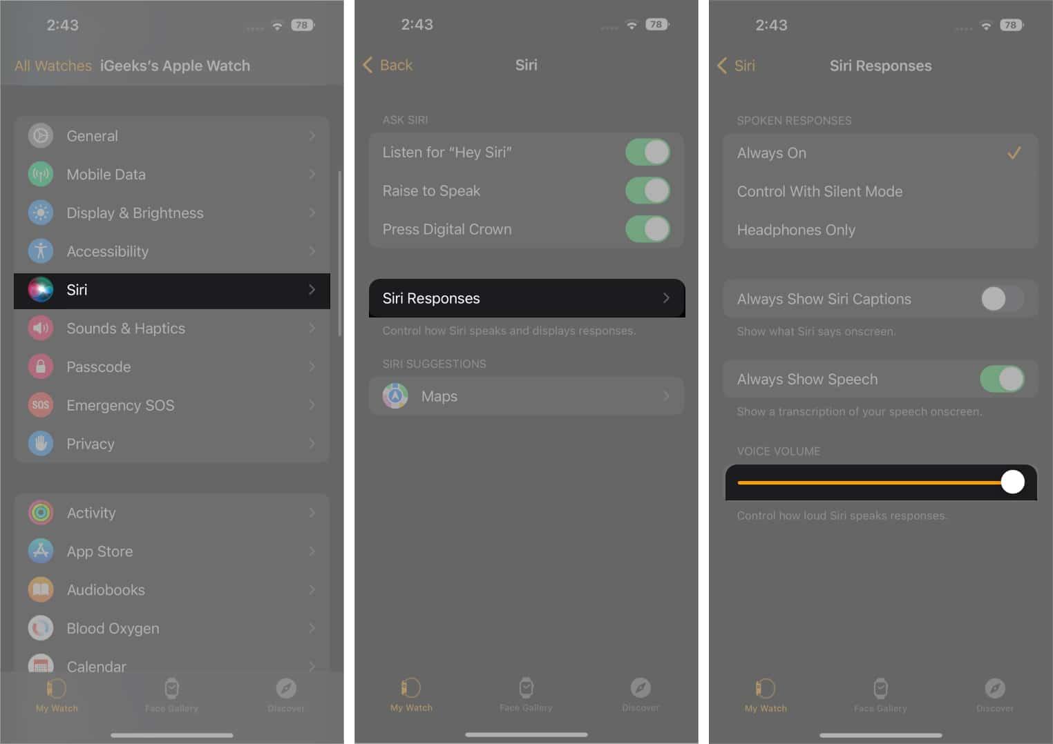Check Siri volume on iPhone 