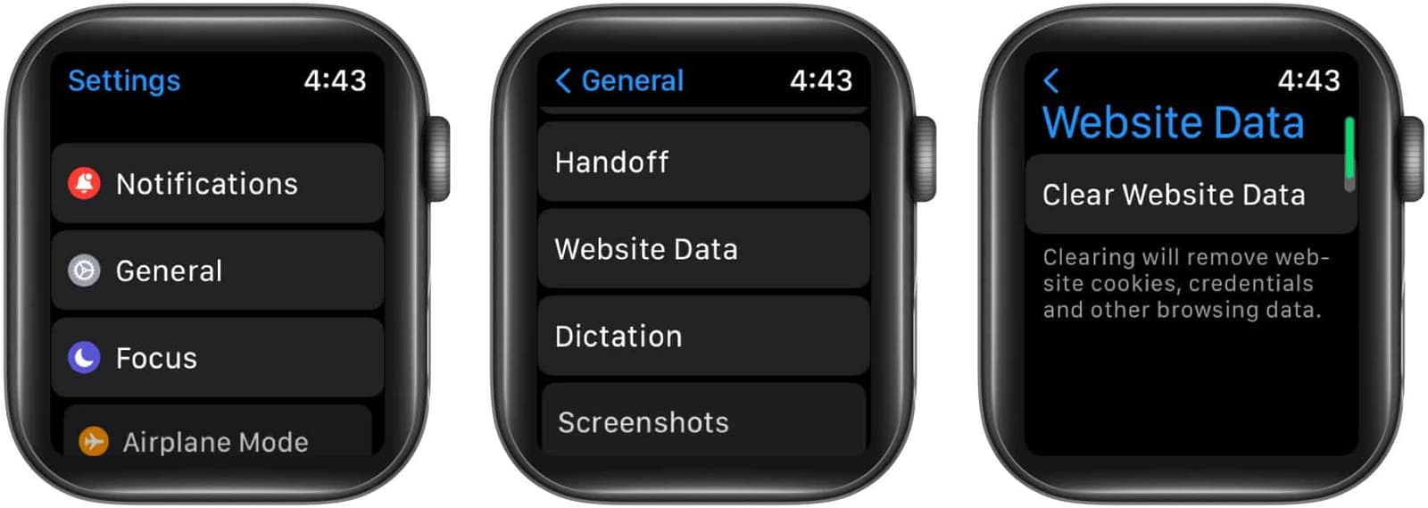 Clear Website Data on Apple Watch