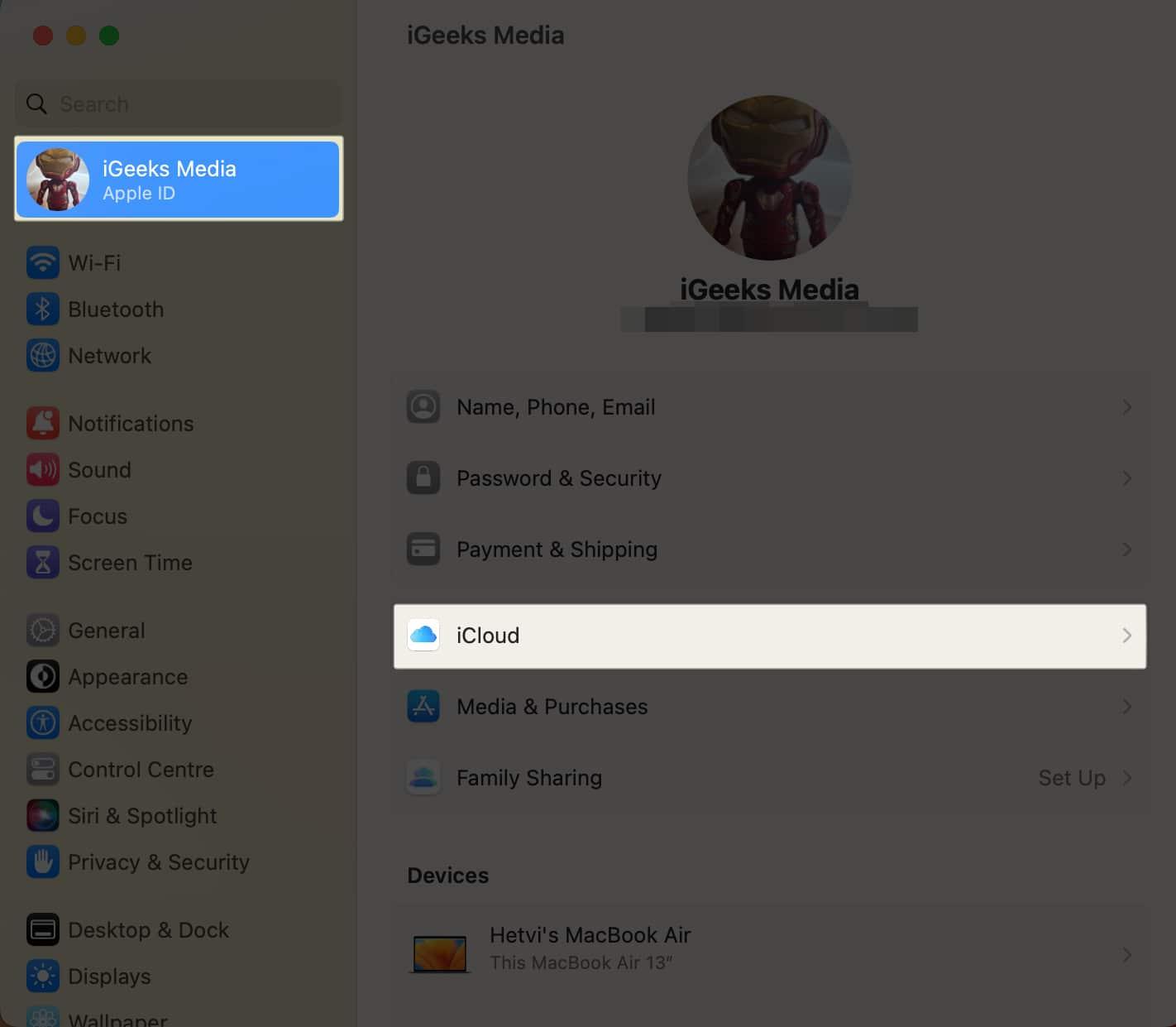 Open System Settings, Click on Apple ID, Select iCloud