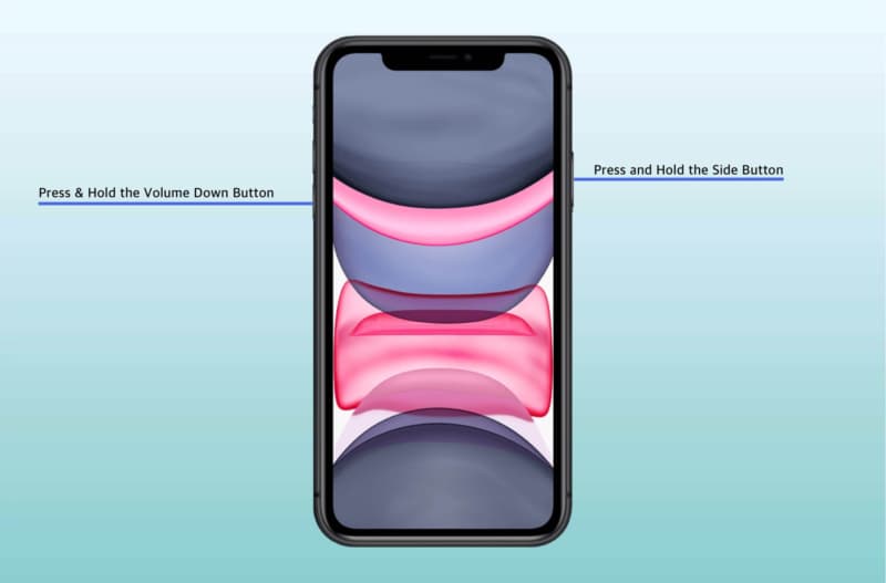 Press hold the side button volume down button on iphone 11 800x527 1