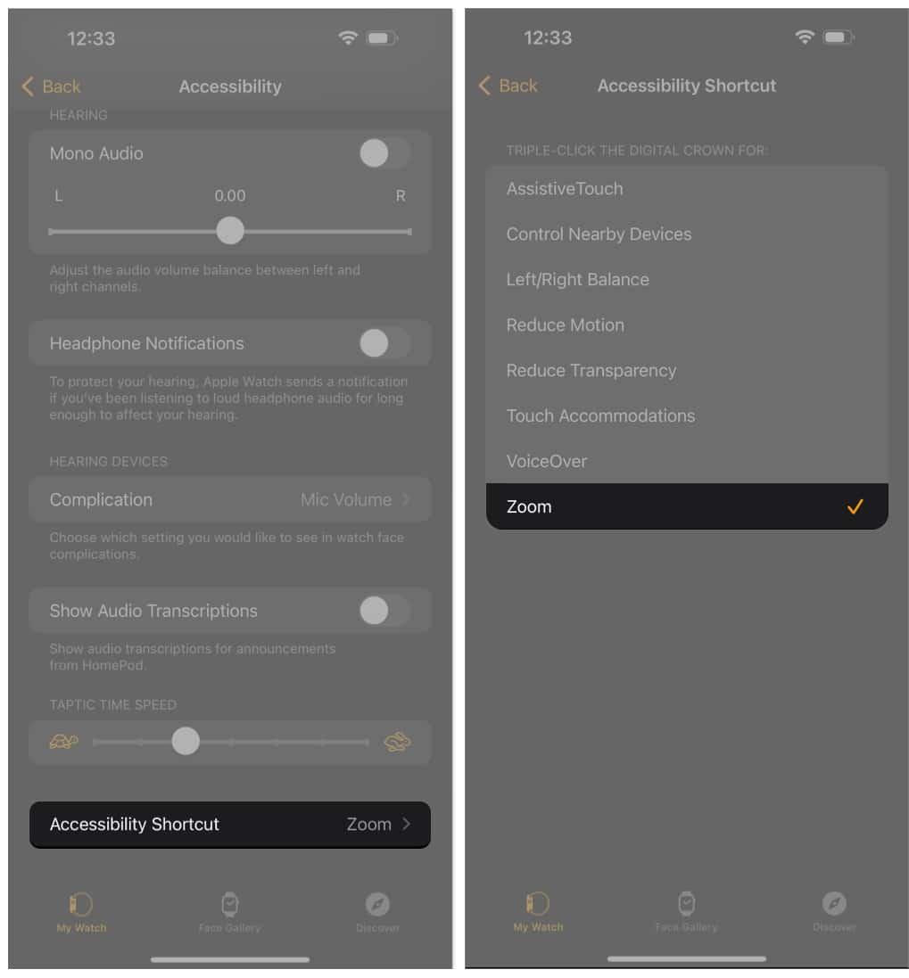 Set Apple Watch accessibility shortcut on iPhone