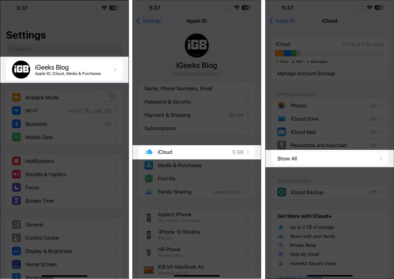 Tap on your Profile, iCloud, and Show All on iPhone