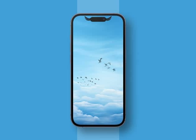 Birds Flying Dynamic Island Wallpaper for iPhone