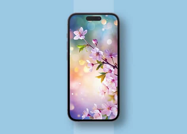 Blooming cherry blossoms wallpaper