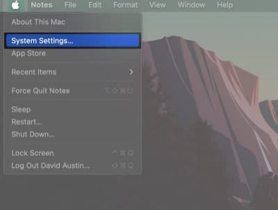 System Settings in the Apple menu on a Mac.